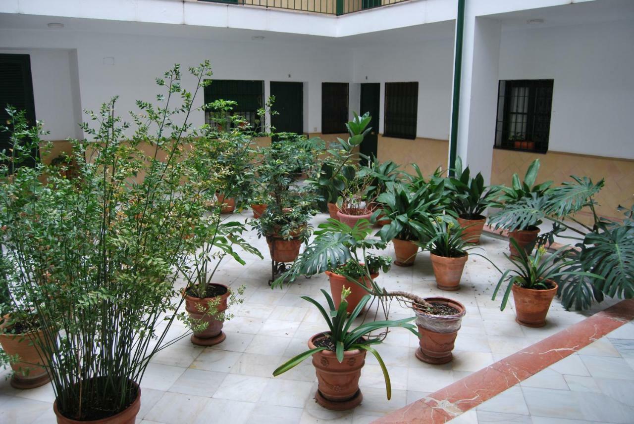 Appartement El Rincon De Aurora
